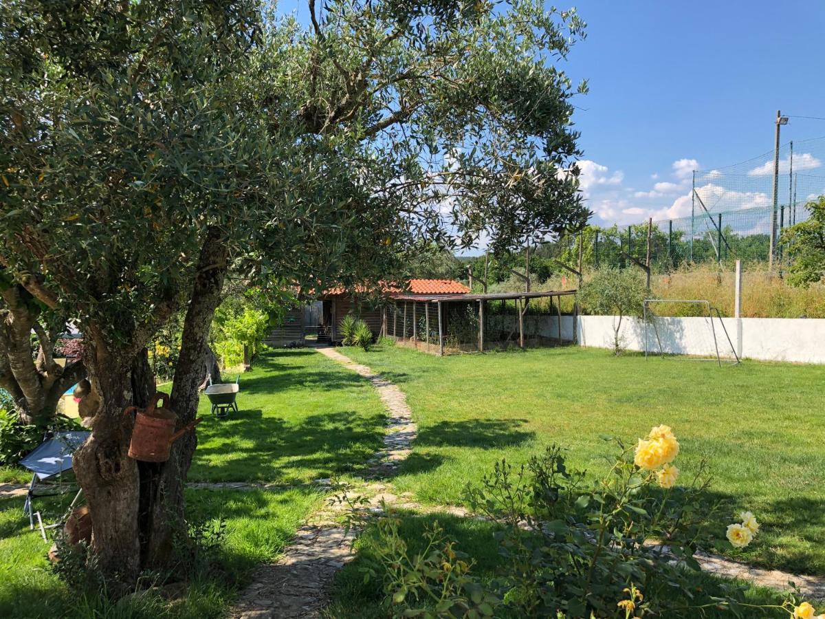 Apartmán A Casa Amarela Pinheiro de Coja Exteriér fotografie